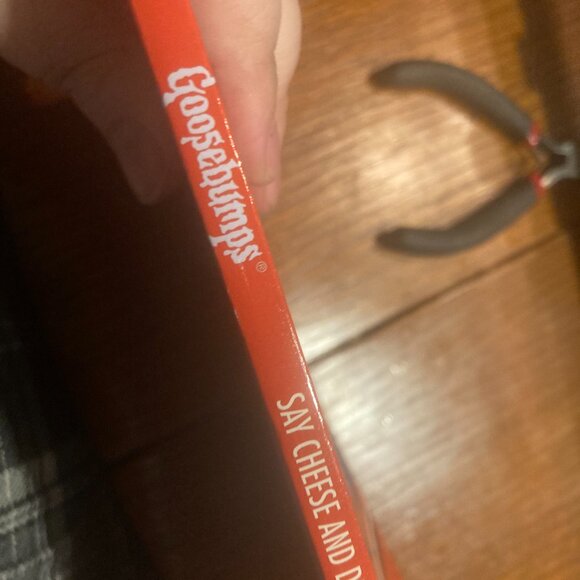 Vintage Book-Goosebumps Say Cheese and Die-RL Stine 2015 Print - Picture 3 of 4